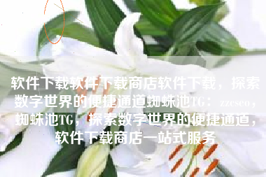 软件下载软件下载商店软件下载，探索数字世界的便捷通道蜘蛛池TG：zzcseo，蜘蛛池TG，探索数字世界的便捷通道，软件下载商店一站式服务