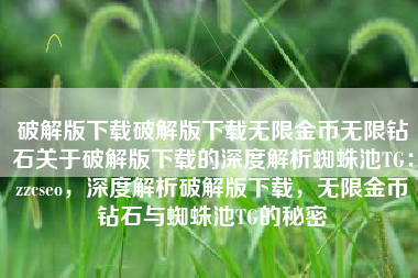 破解版下载破解版下载无限金币无限钻石关于破解版下载的深度解析蜘蛛池TG：zzcseo，深度解析破解版下载，无限金币钻石与蜘蛛池TG的秘密
