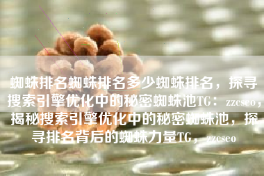 蜘蛛排名蜘蛛排名多少蜘蛛排名，探寻搜索引擎优化中的秘密蜘蛛池TG：zzcseo，揭秘搜索引擎优化中的秘密蜘蛛池，探寻排名背后的蜘蛛力量TG，zzcseo