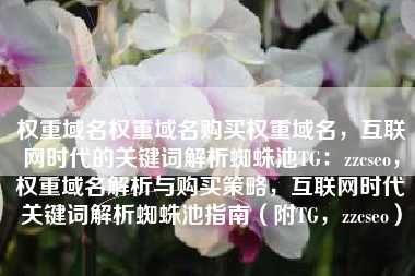权重域名权重域名购买权重域名，互联网时代的关键词解析蜘蛛池TG：zzcseo，权重域名解析与购买策略，互联网时代关键词解析蜘蛛池指南（附TG，zzcseo）