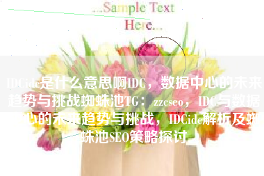 IDCidc是什么意思啊IDC，数据中心的未来趋势与挑战蜘蛛池TG：zzcseo，IDC与数据中心的未来趋势与挑战，IDCidc解析及蜘蛛池SEO策略探讨