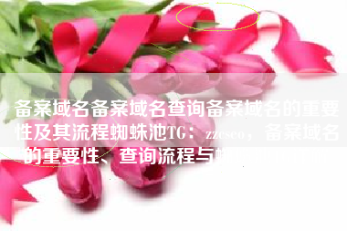 备案域名备案域名查询备案域名的重要性及其流程蜘蛛池TG：zzcseo，备案域名的重要性、查询流程与蜘蛛池TG详解