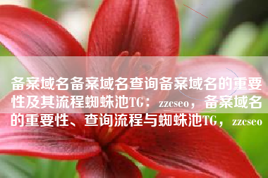 备案域名备案域名查询备案域名的重要性及其流程蜘蛛池TG：zzcseo，备案域名的重要性、查询流程与蜘蛛池TG，zzcseo