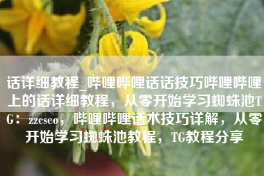 话详细教程_哔哩哔哩话话技巧哔哩哔哩上的话详细教程，从零开始学习蜘蛛池TG：zzcseo，哔哩哔哩话术技巧详解，从零开始学习蜘蛛池教程，TG教程分享