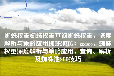 蜘蛛权重蜘蛛权重查询蜘蛛权重，深度解析与策略应用蜘蛛池TG：zzcseo，蜘蛛权重深度解析与策略应用，查询、解析及蜘蛛池SEO技巧