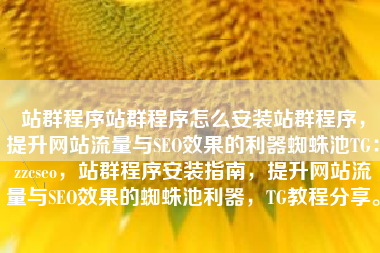 站群程序站群程序怎么安装站群程序，提升网站流量与SEO效果的利器蜘蛛池TG：zzcseo，站群程序安装指南，提升网站流量与SEO效果的蜘蛛池利器，TG教程分享。