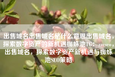 出售域名出售域名是什么意思出售域名，探索数字资产的新机遇蜘蛛池TG：zzcseo，出售域名，探索数字资产新机遇与蜘蛛池SEO策略