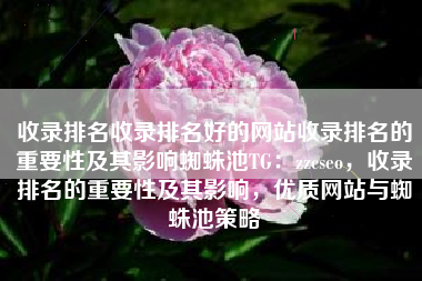 收录排名收录排名好的网站收录排名的重要性及其影响蜘蛛池TG：zzcseo，收录排名的重要性及其影响，优质网站与蜘蛛池策略