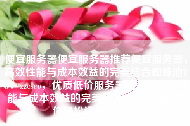 便宜服务器便宜服务器推荐便宜服务器，高效性能与成本效益的完美结合蜘蛛池TG：zzcseo，优质低价服务器推荐，高效性能与成本效益的完美结合，蜘蛛池TG助你轻松选购服务器！