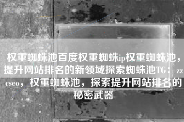 权重蜘蛛池百度权重蜘蛛ip权重蜘蛛池，提升网站排名的新领域探索蜘蛛池TG：zzcseo，权重蜘蛛池，探索提升网站排名的秘密武器