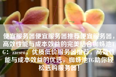 便宜服务器便宜服务器推荐便宜服务器，高效性能与成本效益的完美结合蜘蛛池TG：zzcseo，优质低价服务器推荐，高效性能与成本效益的优选，蜘蛛池TG助你轻松选购服务器！