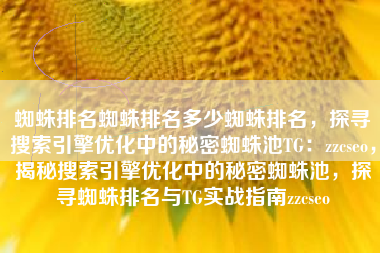 蜘蛛排名蜘蛛排名多少蜘蛛排名，探寻搜索引擎优化中的秘密蜘蛛池TG：zzcseo，揭秘搜索引擎优化中的秘密蜘蛛池，探寻蜘蛛排名与TG实战指南zzcseo