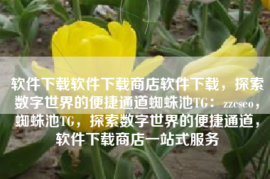 软件下载软件下载商店软件下载，探索数字世界的便捷通道蜘蛛池TG：zzcseo，蜘蛛池TG，探索数字世界的便捷通道，软件下载商店一站式服务
