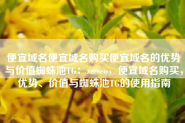 便宜域名便宜域名购买便宜域名的优势与价值蜘蛛池TG：zzcseo，便宜域名购买，优势、价值与蜘蛛池TG的使用指南