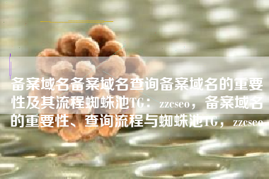 备案域名备案域名查询备案域名的重要性及其流程蜘蛛池TG：zzcseo，备案域名的重要性、查询流程与蜘蛛池TG，zzcseo