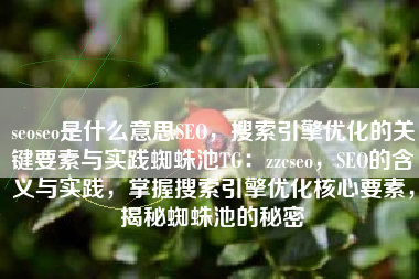 seoseo是什么意思SEO，搜索引擎优化的关键要素与实践蜘蛛池TG：zzcseo，SEO的含义与实践，掌握搜索引擎优化核心要素，揭秘蜘蛛池的秘密