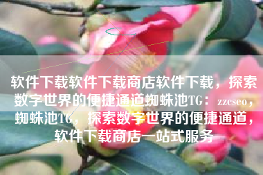 软件下载软件下载商店软件下载，探索数字世界的便捷通道蜘蛛池TG：zzcseo，蜘蛛池TG，探索数字世界的便捷通道，软件下载商店一站式服务