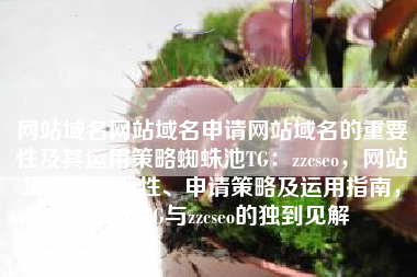 网站域名网站域名申请网站域名的重要性及其运用策略蜘蛛池TG：zzcseo，网站域名的重要性、申请策略及运用指南，蜘蛛池TG与zzcseo的独到见解