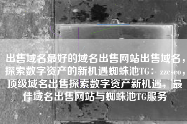 出售域名最好的域名出售网站出售域名，探索数字资产的新机遇蜘蛛池TG：zzcseo，顶级域名出售探索数字资产新机遇，最佳域名出售网站与蜘蛛池TG服务