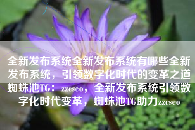 全新发布系统全新发布系统有哪些全新发布系统，引领数字化时代的变革之道蜘蛛池TG：zzcseo，全新发布系统引领数字化时代变革，蜘蛛池TG助力zzcseo