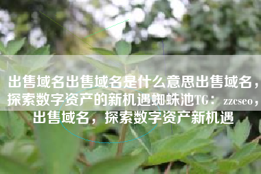出售域名出售域名是什么意思出售域名，探索数字资产的新机遇蜘蛛池TG：zzcseo，出售域名，探索数字资产新机遇