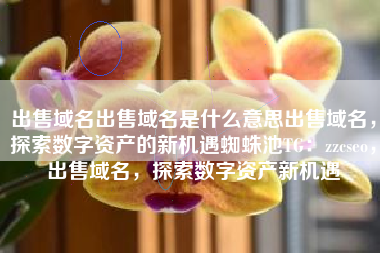 出售域名出售域名是什么意思出售域名，探索数字资产的新机遇蜘蛛池TG：zzcseo，出售域名，探索数字资产新机遇