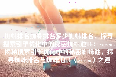 蜘蛛排名蜘蛛排名多少蜘蛛排名，探寻搜索引擎优化中的秘密蜘蛛池TG：zzcseo，揭秘搜索引擎优化中的秘密蜘蛛池，探寻蜘蛛排名与蜘蛛池TG（zzcseo）之道