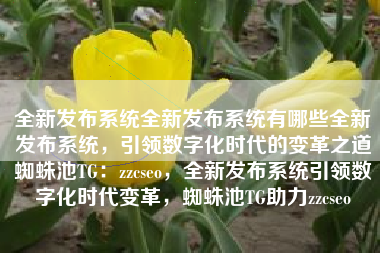 全新发布系统全新发布系统有哪些全新发布系统，引领数字化时代的变革之道蜘蛛池TG：zzcseo，全新发布系统引领数字化时代变革，蜘蛛池TG助力zzcseo