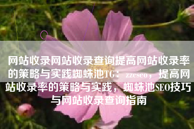 网站收录网站收录查询提高网站收录率的策略与实践蜘蛛池TG：zzcseo，提高网站收录率的策略与实践，蜘蛛池SEO技巧与网站收录查询指南