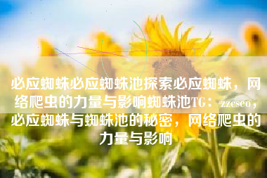 必应蜘蛛必应蜘蛛池探索必应蜘蛛，网络爬虫的力量与影响蜘蛛池TG：zzcseo，必应蜘蛛与蜘蛛池的秘密，网络爬虫的力量与影响