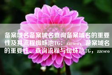 备案域名备案域名查询备案域名的重要性及其流程蜘蛛池TG：zzcseo，备案域名的重要性、查询流程与蜘蛛池TG，zzcseo