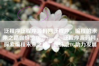 泛程序泛程序源码网泛程序，编程的未来之路蜘蛛池TG：zzcseo，泛程序源码网，探索编程未来之路，蜘蛛池TG助力发展