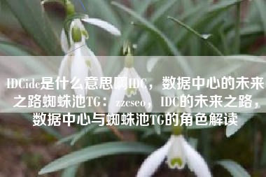 IDCidc是什么意思啊IDC，数据中心的未来之路蜘蛛池TG：zzcseo，IDC的未来之路，数据中心与蜘蛛池TG的角色解读