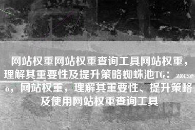 网站权重网站权重查询工具网站权重，理解其重要性及提升策略蜘蛛池TG：zzcseo，网站权重，理解其重要性、提升策略及使用网站权重查询工具
