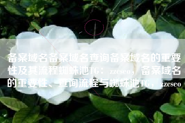 备案域名备案域名查询备案域名的重要性及其流程蜘蛛池TG：zzcseo，备案域名的重要性、查询流程与蜘蛛池TG，zzcseo