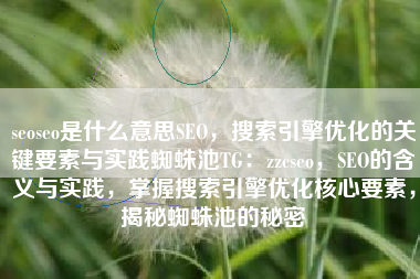 seoseo是什么意思SEO，搜索引擎优化的关键要素与实践蜘蛛池TG：zzcseo，SEO的含义与实践，掌握搜索引擎优化核心要素，揭秘蜘蛛池的秘密