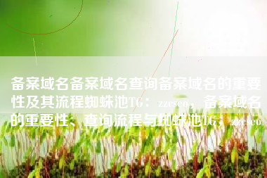 备案域名备案域名查询备案域名的重要性及其流程蜘蛛池TG：zzcseo，备案域名的重要性、查询流程与蜘蛛池TG，zzcseo