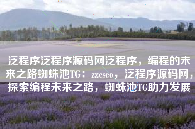 泛程序泛程序源码网泛程序，编程的未来之路蜘蛛池TG：zzcseo，泛程序源码网，探索编程未来之路，蜘蛛池TG助力发展