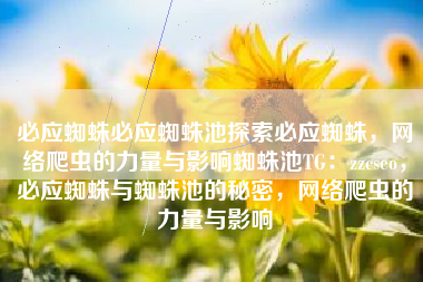 必应蜘蛛必应蜘蛛池探索必应蜘蛛，网络爬虫的力量与影响蜘蛛池TG：zzcseo，必应蜘蛛与蜘蛛池的秘密，网络爬虫的力量与影响