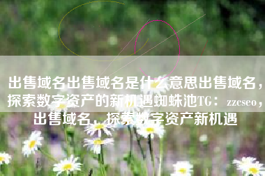 出售域名出售域名是什么意思出售域名，探索数字资产的新机遇蜘蛛池TG：zzcseo，出售域名，探索数字资产新机遇