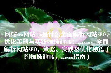 网站seo网站seo是什么全面解析网站SEO，优化策略与实践蜘蛛池TG：zzcseo，全面解析网站SEO，策略、实践及优化秘籍（附蜘蛛池TG，zzcseo指南）