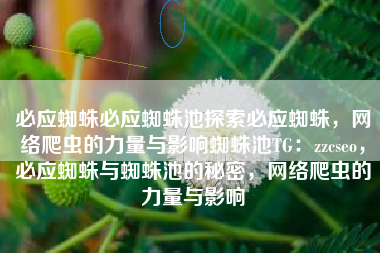 必应蜘蛛必应蜘蛛池探索必应蜘蛛，网络爬虫的力量与影响蜘蛛池TG：zzcseo，必应蜘蛛与蜘蛛池的秘密，网络爬虫的力量与影响