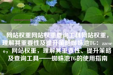网站权重网站权重查询工具网站权重，理解其重要性及提升策略蜘蛛池TG：zzcseo，网站权重，理解其重要性、提升策略及查询工具——蜘蛛池TG的使用指南