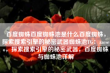 百度蜘蛛百度蜘蛛池是什么百度蜘蛛，探索搜索引擎的秘密武器蜘蛛池TG：zzcseo，探索搜索引擎的秘密武器，百度蜘蛛与蜘蛛池详解