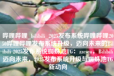 哔哩哔哩_bilibili_2025发布系统哔哩哔哩2050哔哩哔哩发布系统升级，迈向未来的Bilibili 2025发布系统蜘蛛池TG：zzcseo，Bilibili迈向未来，2025发布系统升级与蜘蛛池TG新动向