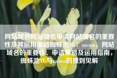 网站域名网站域名申请网站域名的重要性及其运用策略蜘蛛池TG：zzcseo，网站域名的重要性、申请策略及运用指南，蜘蛛池TG与zzcseo的独到见解
