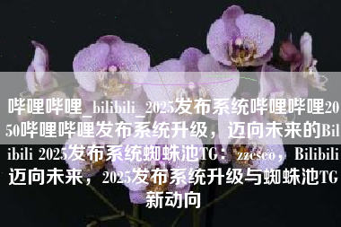 哔哩哔哩_bilibili_2025发布系统哔哩哔哩2050哔哩哔哩发布系统升级，迈向未来的Bilibili 2025发布系统蜘蛛池TG：zzcseo，Bilibili迈向未来，2025发布系统升级与蜘蛛池TG新动向