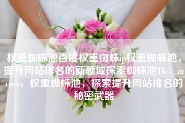 权重蜘蛛池百度权重蜘蛛ip权重蜘蛛池，提升网站排名的新领域探索蜘蛛池TG：zzcseo，权重蜘蛛池，探索提升网站排名的秘密武器
