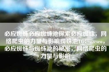 必应蜘蛛必应蜘蛛池探索必应蜘蛛，网络爬虫的力量与影响蜘蛛池TG：zzcseo，必应蜘蛛与蜘蛛池的秘密，网络爬虫的力量与影响