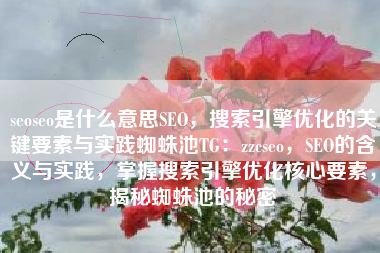 seoseo是什么意思SEO，搜索引擎优化的关键要素与实践蜘蛛池TG：zzcseo，SEO的含义与实践，掌握搜索引擎优化核心要素，揭秘蜘蛛池的秘密
